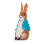 Peter Rabbit™ Resin Cake Toppers Bulk