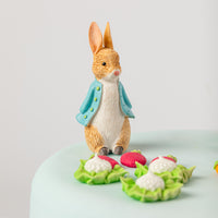 Beatrix Potter™ Peter Rabbit™ Resin Cake Topper Luxury Boxed