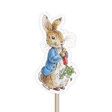 Beatrix Potter™ Peter Rabbit™ Cupcake Kit