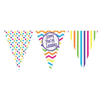 Chevron Stripe Sorry You're Leaving Paper Flag Bunting